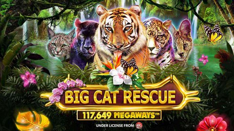 Big Cat Rescue Mega 2