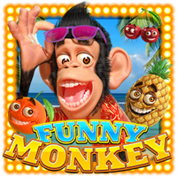 Funny Monkey